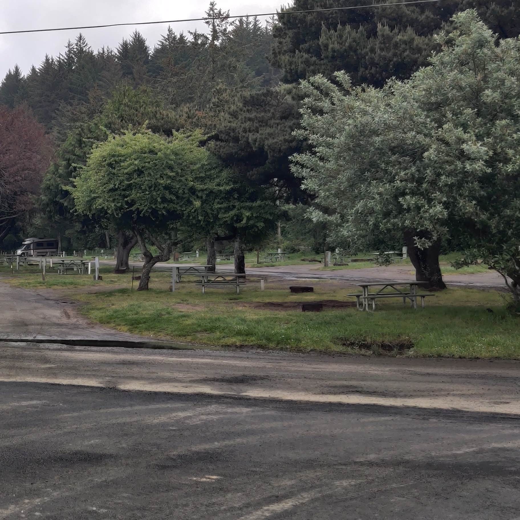 Umpqua Dunes Campground Camping The Dyrt