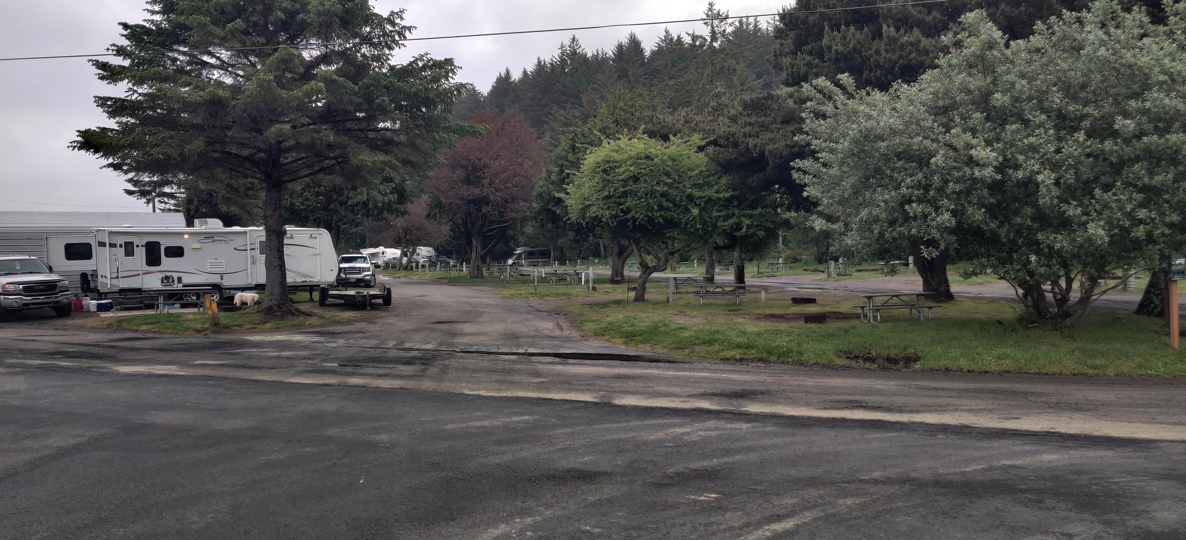 Camper submitted image from Umpqua Dunes Campground - 3