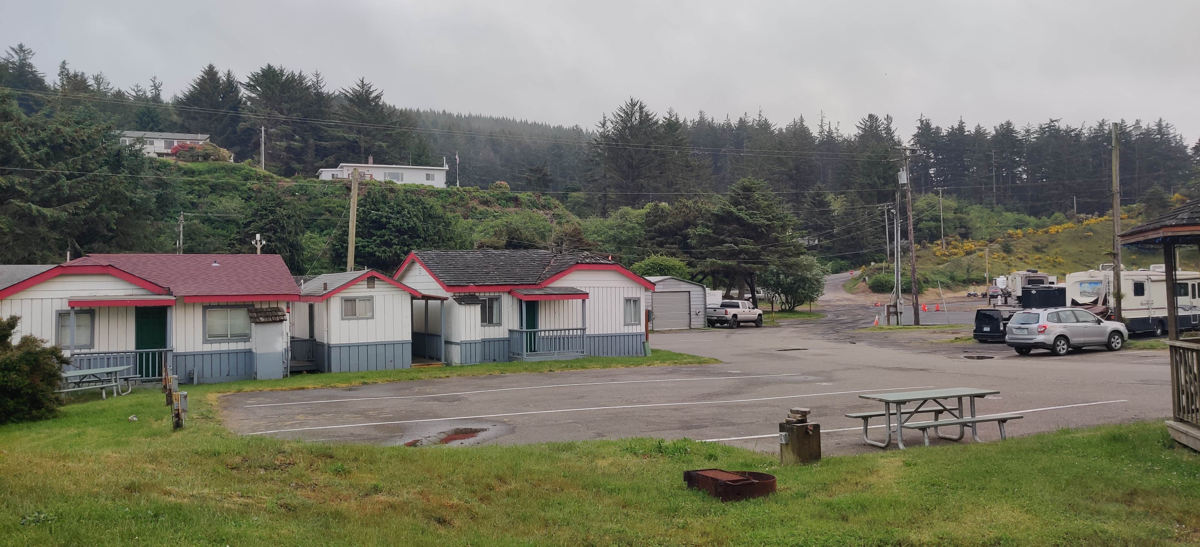 Camper submitted image from Umpqua Dunes Campground - 5