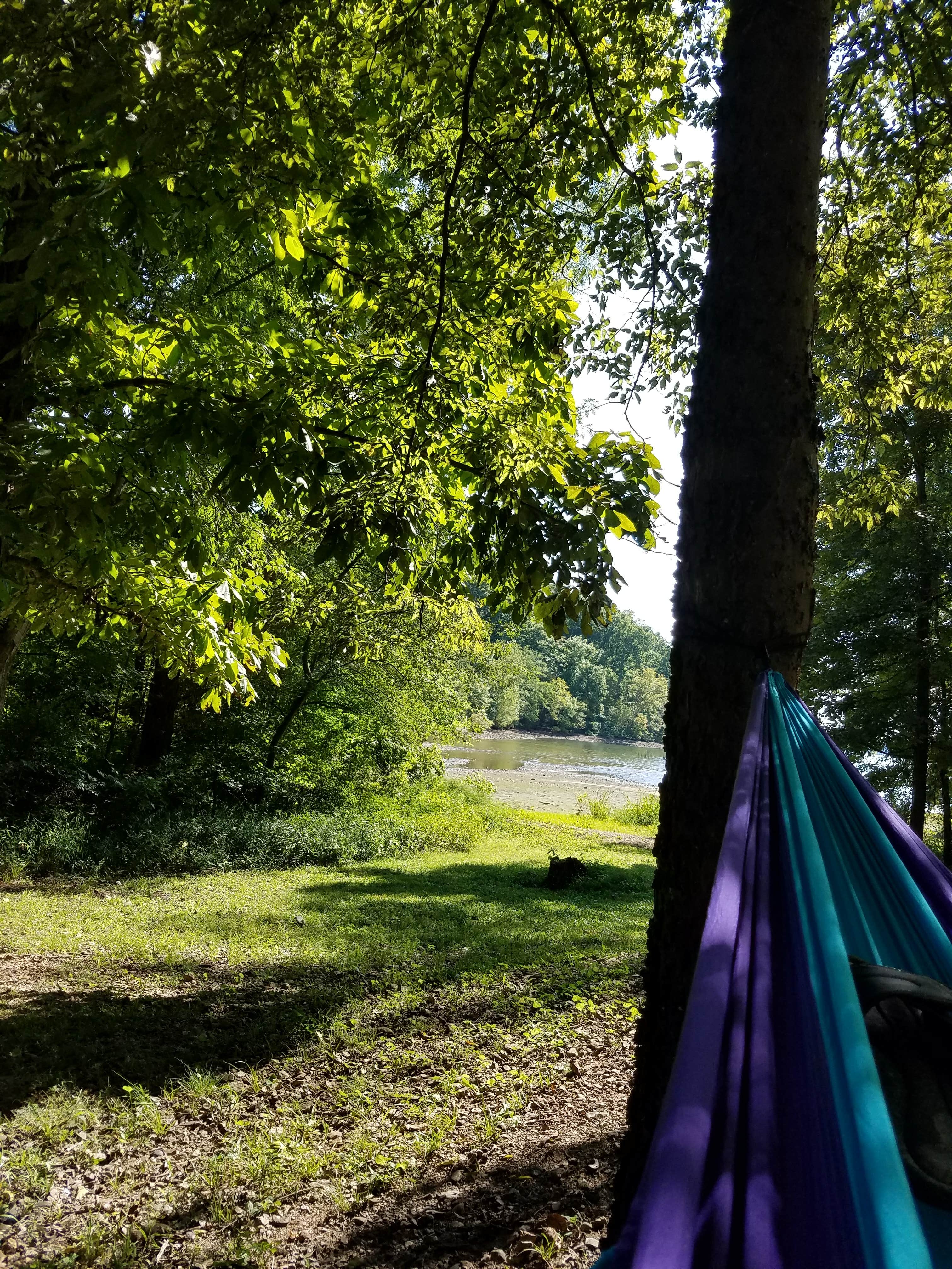 Kelsey R.'s photo at Redd Hollow near Barkley Lake