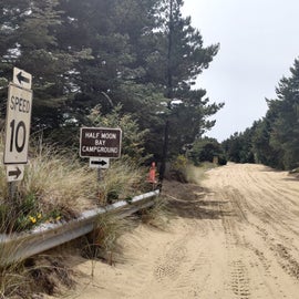 Sand trail campground access to the dunes.