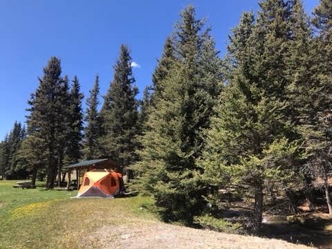 Camper submitted image from Rio Costilla Park - 3