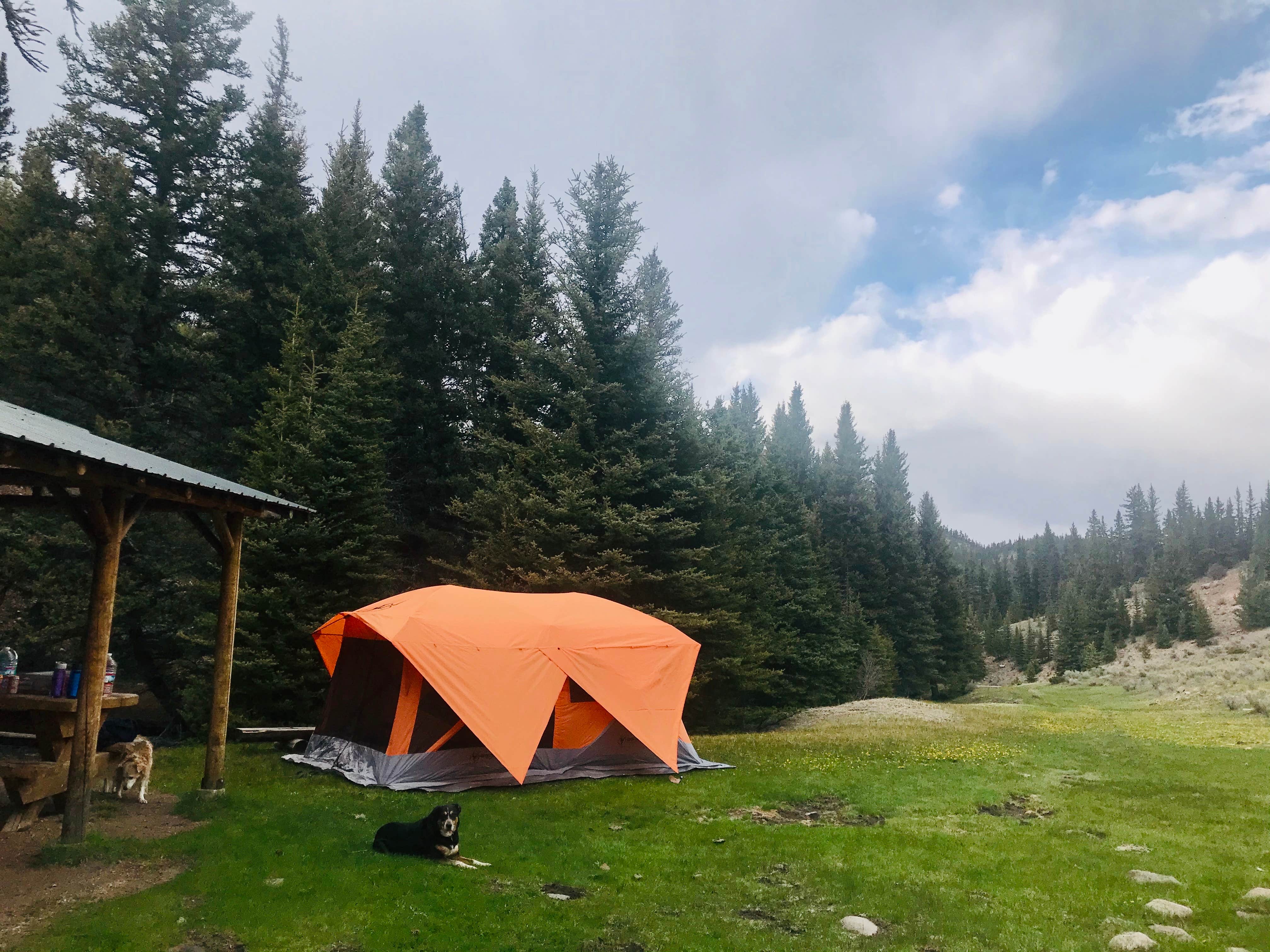 Lila L.'s photo at Rio Costilla Park near Costilla, NM