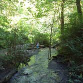 Review photo of Dash Point State Park Campground by Rich M., May 18, 2020