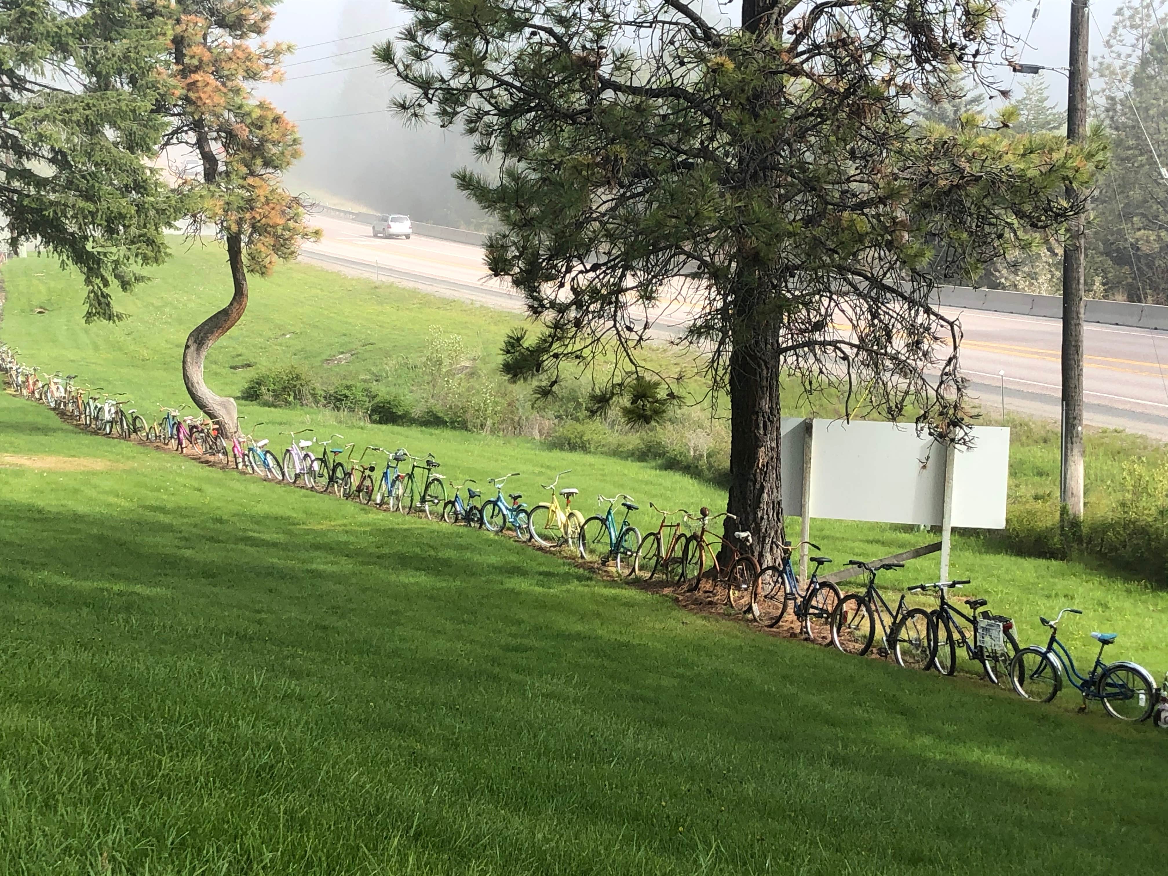 Camper-submitted photo at Rollins RV Park near Flathead National Forest