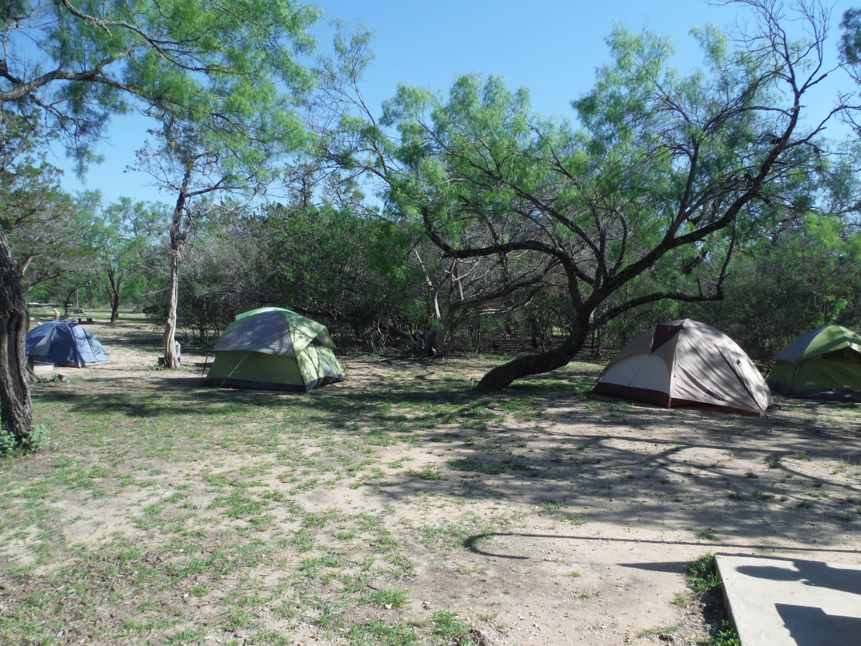Camper submitted image from Live Oak — Garner State Park - 3