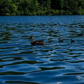 Review photo of Rocky Gap State Park Campground by Jennifer S., September 18, 2017