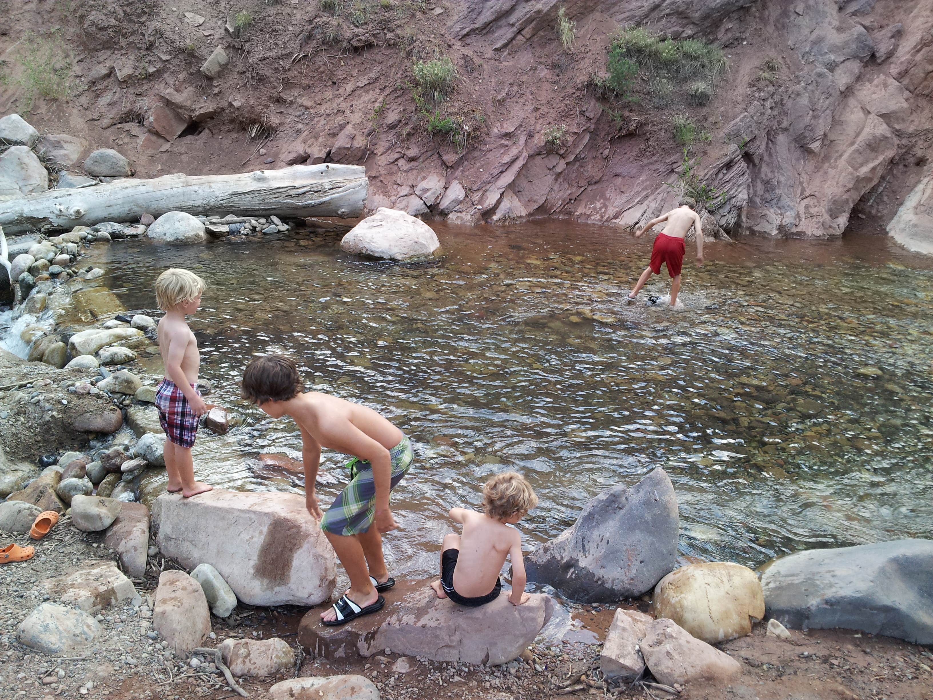 Camper submitted image from Elk Creek Campground (rio Grande Nf) - 2