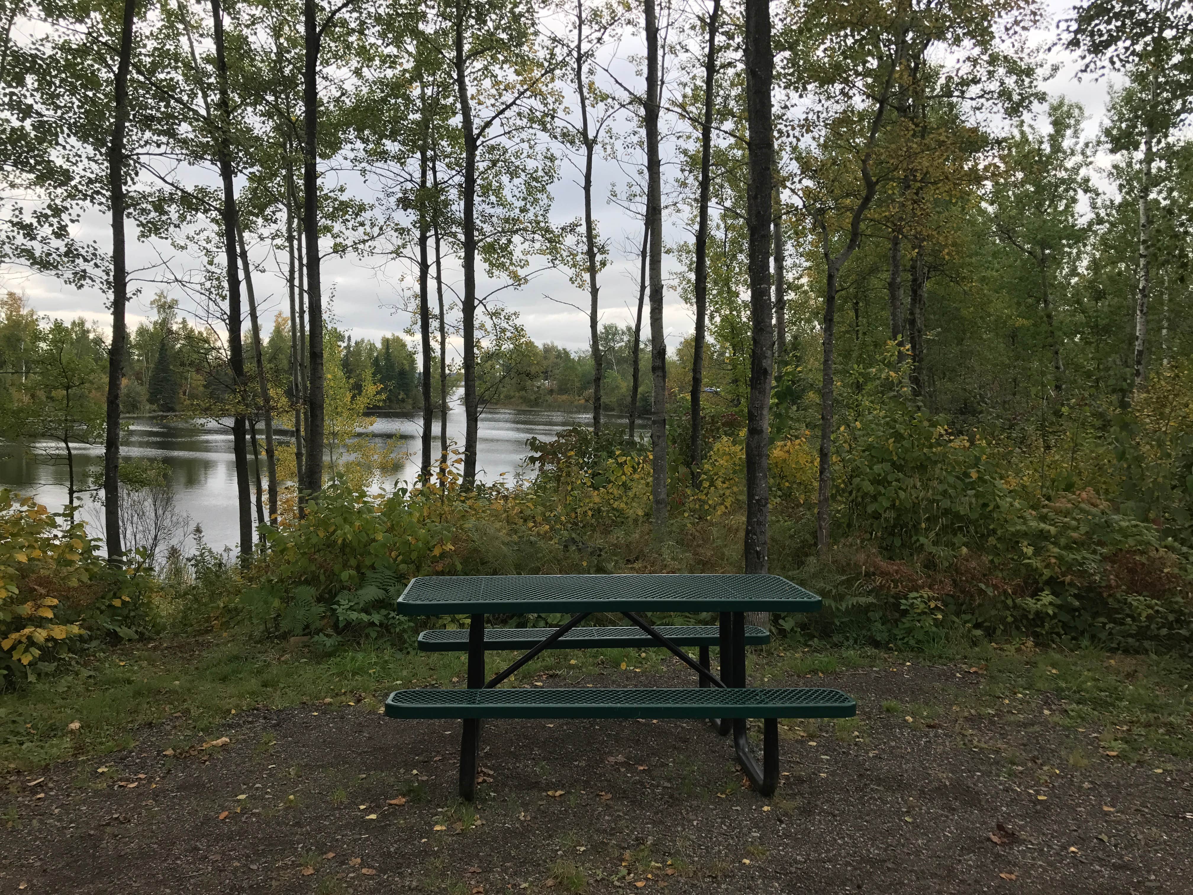 Camper submitted image from Fisherman's Point City Campground - 3