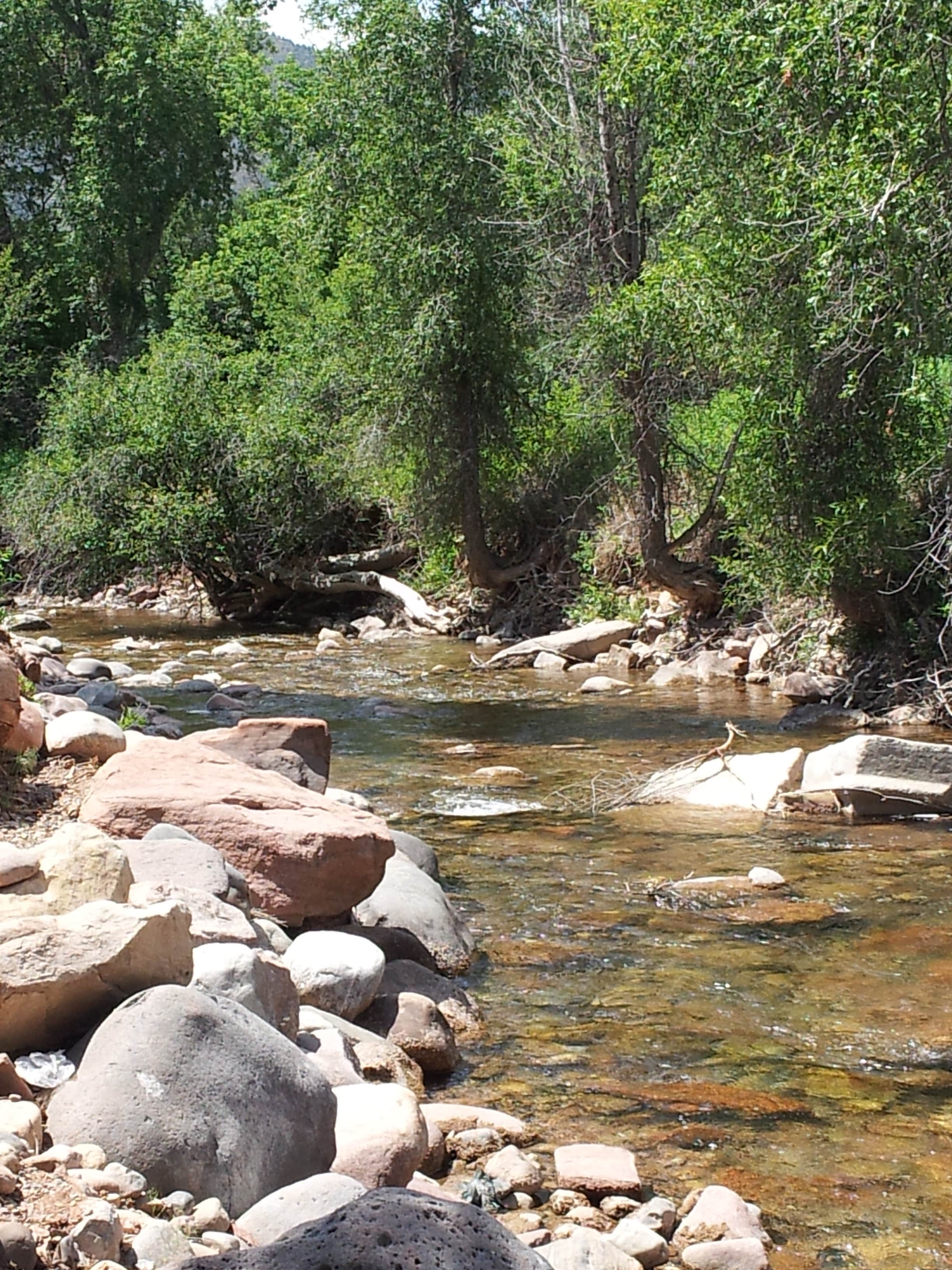 Camper submitted image from Elk Creek Campground (rio Grande Nf) - 3