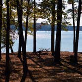 Review photo of Pyne Road Park Campground by Dorraine S., September 28, 2017
