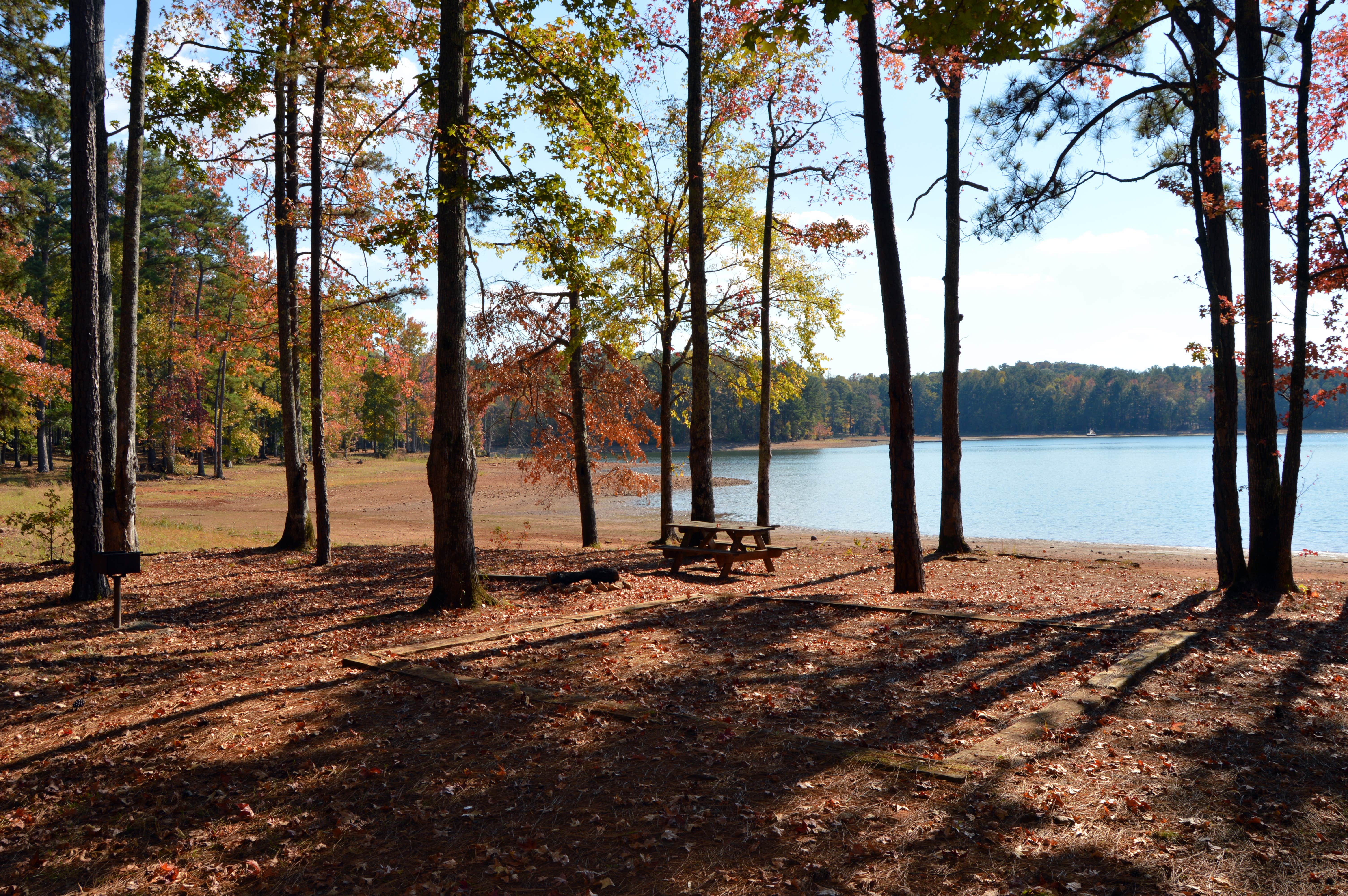 Camper-submitted photo at Pyne Road Park Campground near Wildwood, GA
