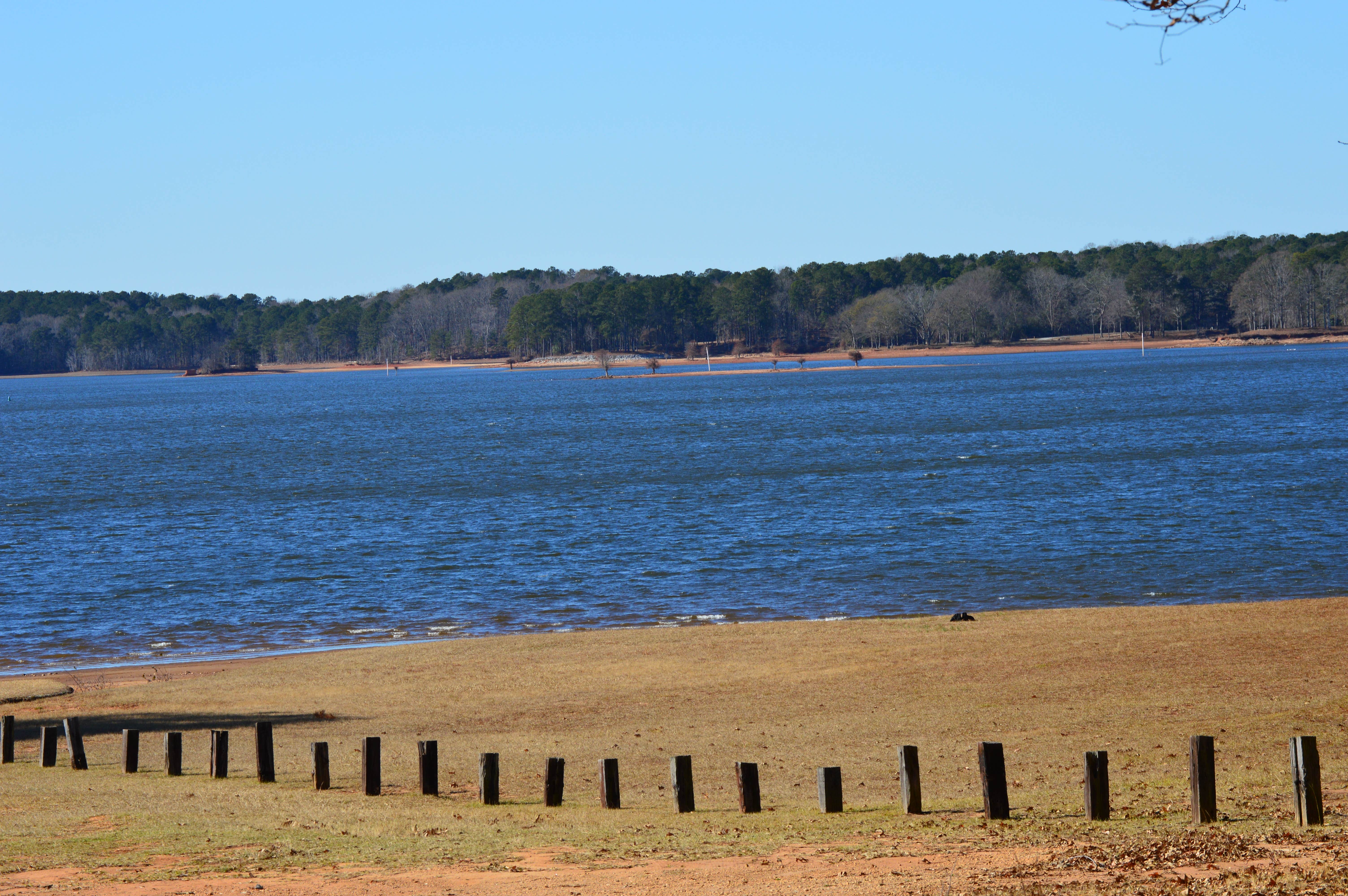 Camper-submitted photo at Pyne Road Park Campground near Wildwood, GA