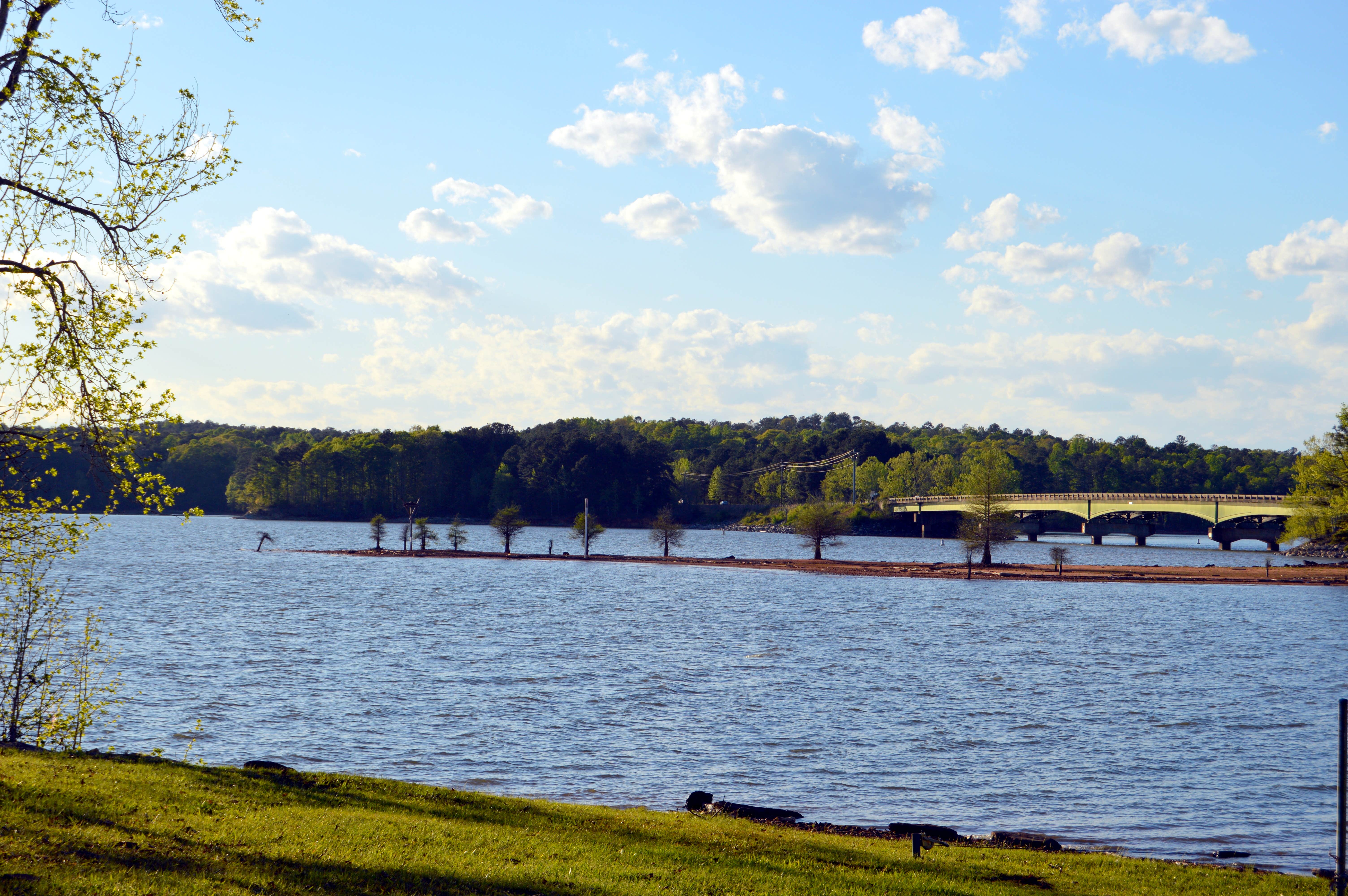 Camper-submitted photo at Pyne Road Park Campground near Wildwood, GA