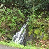 Review photo of Cades Cove Group Campground — Great Smoky Mountains National Park by Brittni F., May 18, 2020