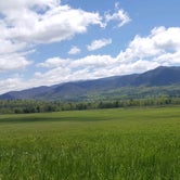 Review photo of Cades Cove Group Campground — Great Smoky Mountains National Park by Brittni F., May 18, 2020