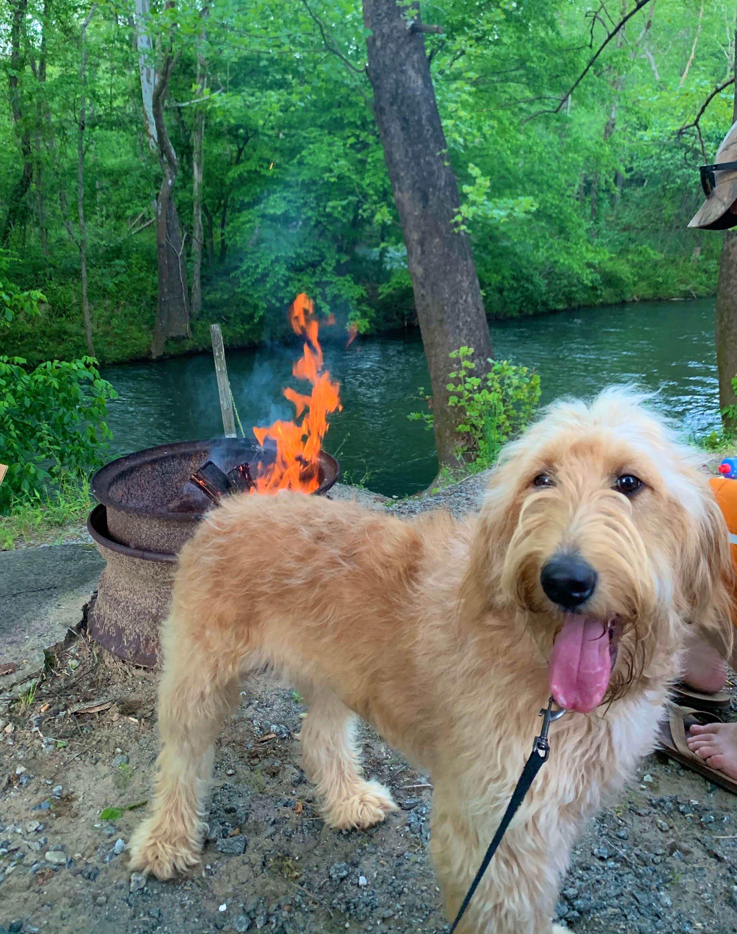 Camper-submitted photo at River Creek Campground near Lake Lure, NC
