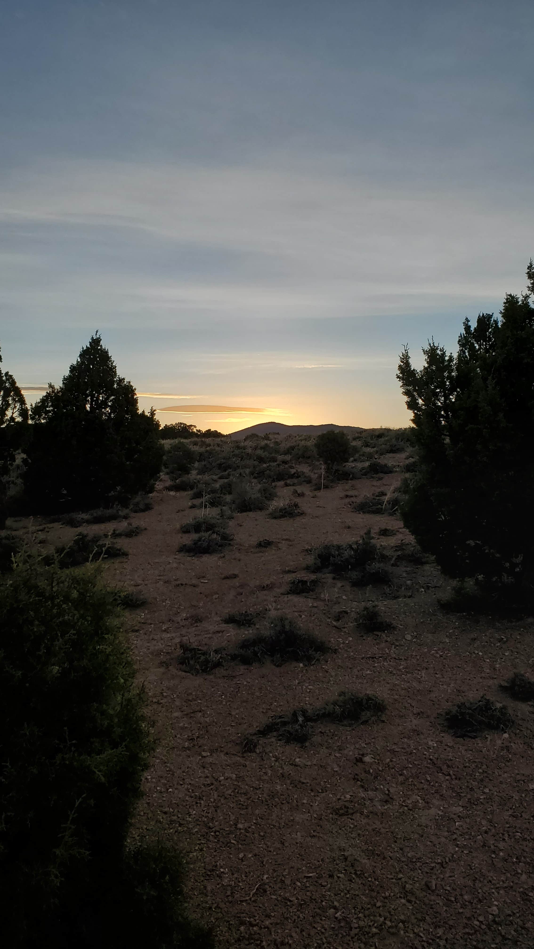 Camper-submitted photo at Sacramento Pass Recreation Area near Baker, NV