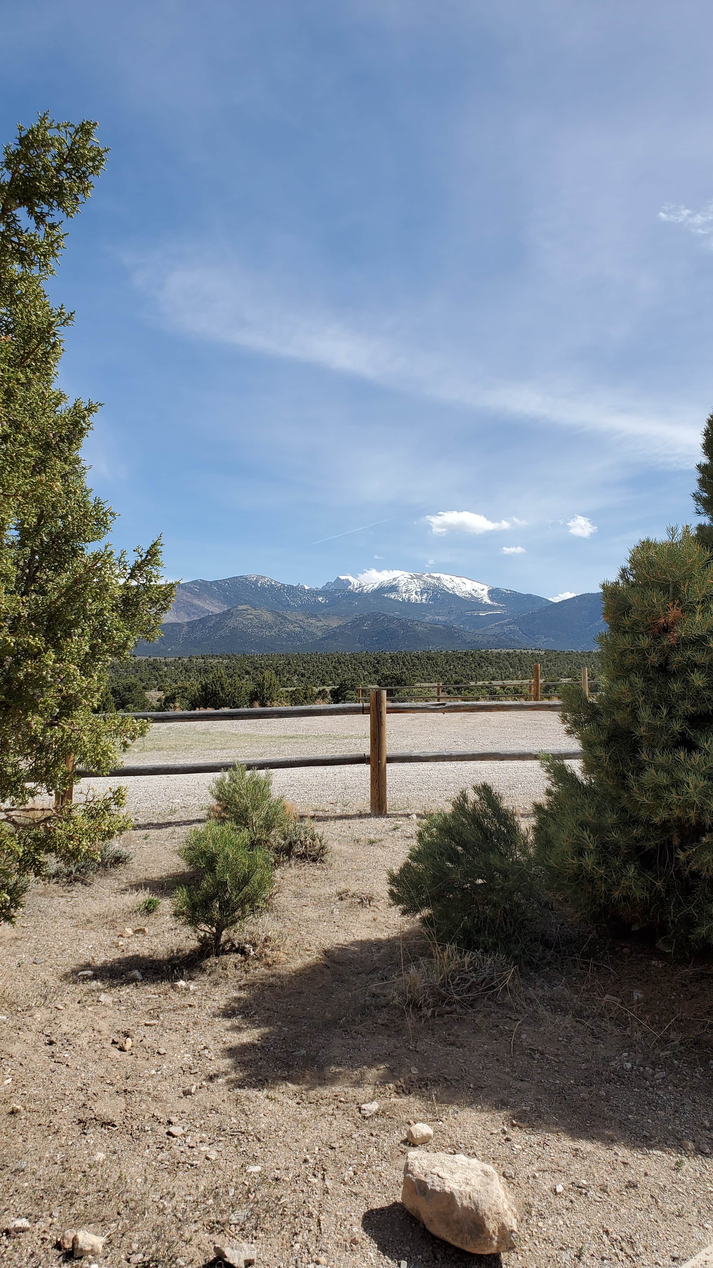 Camper-submitted photo at Sacramento Pass Recreation Area near Baker, NV