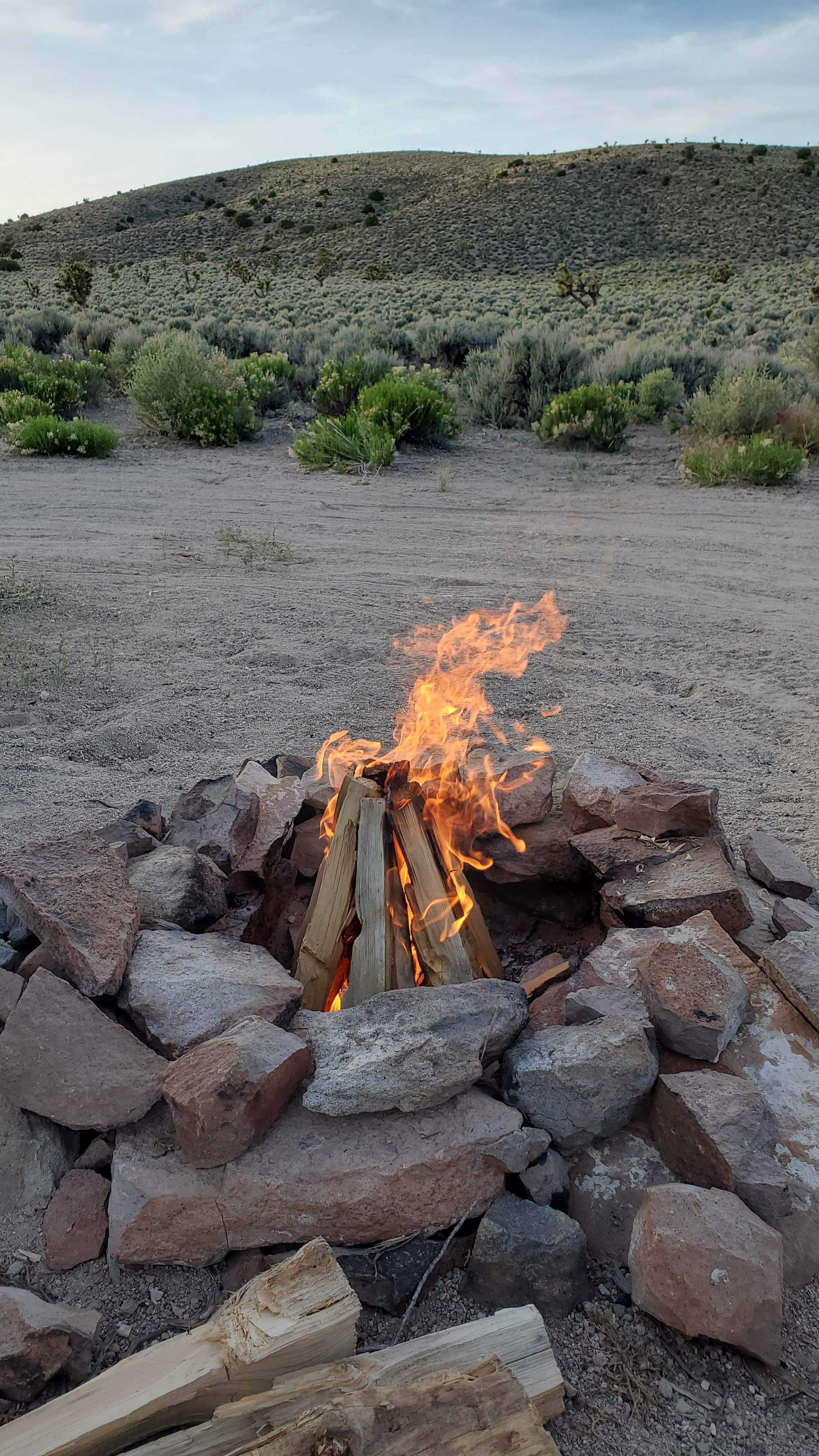 Camper submitted image from #375 off Extraterrestrial Highway - 4