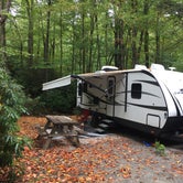 Review photo of Jefferson National Forest Grindstone Campground by Susan B., May 18, 2020