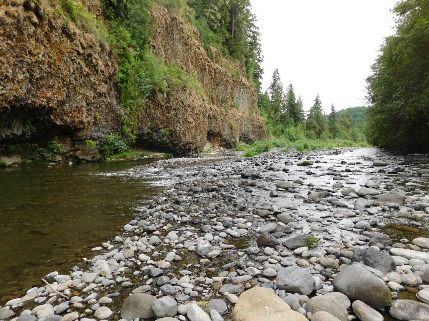 Camper-submitted photo at BLM Molalla River Recreation Area near Canby, OR