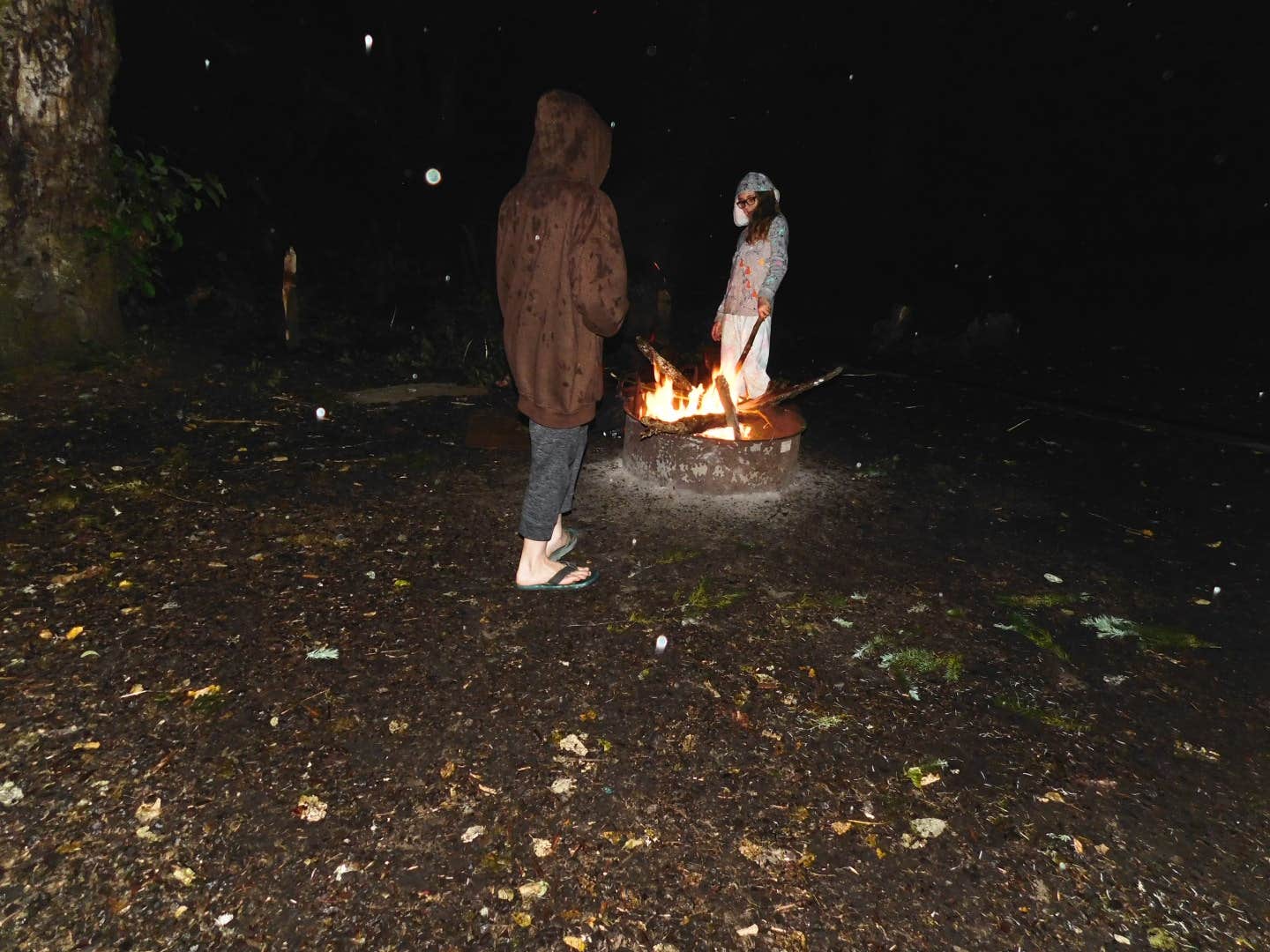 Camper submitted image from BLM Molalla River Recreation Area - 2