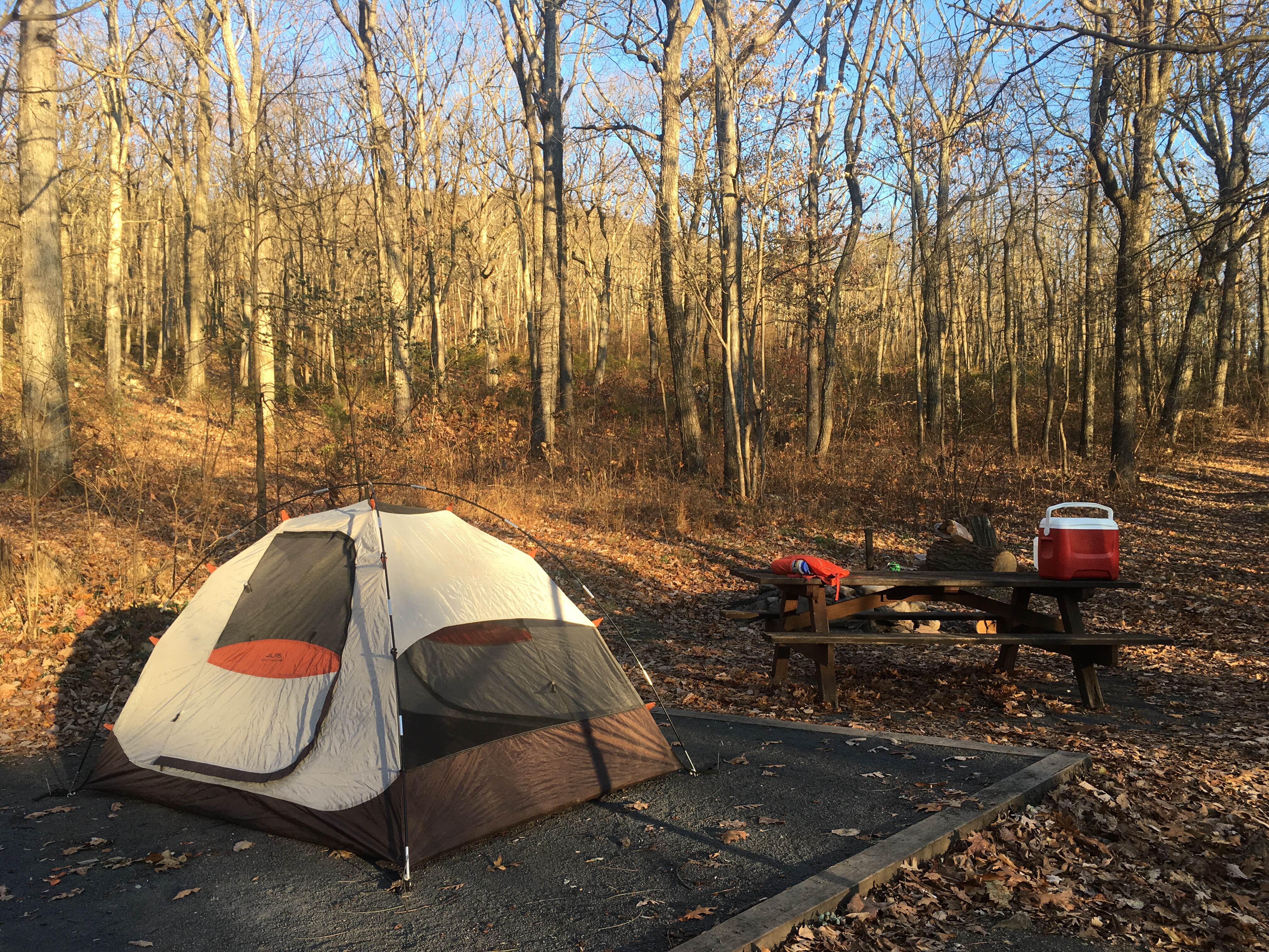 Andrew M.'s photo at Wolf Gap near Star Tannery, VA