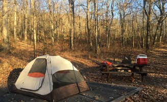 Andrew M.'s photo at Wolf Gap near Edinburg, VA