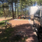 Review photo of Fool Hollow Lake Recreation Area Campground by Melissa S., May 18, 2020
