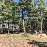 Review photo of Fool Hollow Lake Recreation Area Campground by Melissa S., May 18, 2020