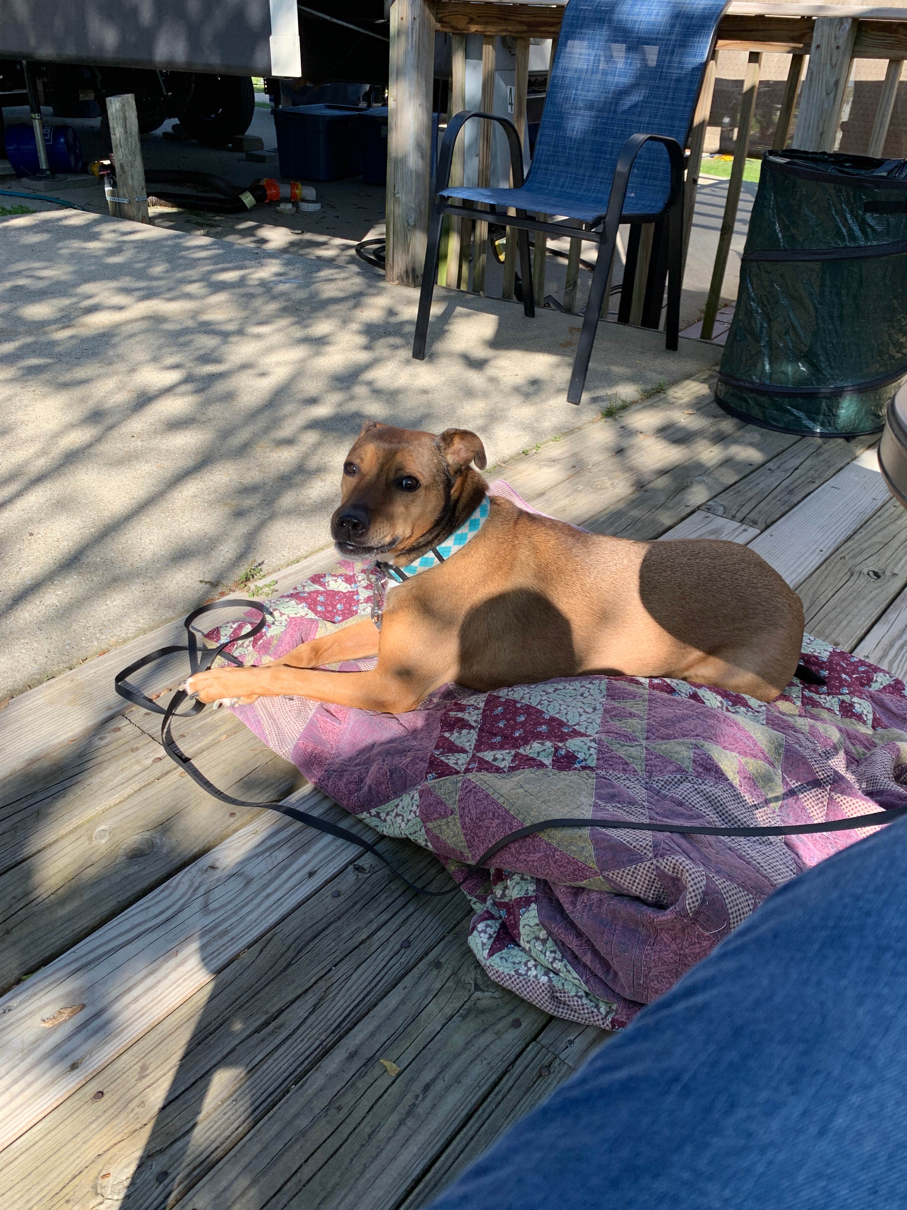 Camping near Elkhorn Campground: Kentucky River Campground, Frankfort, Kentucky