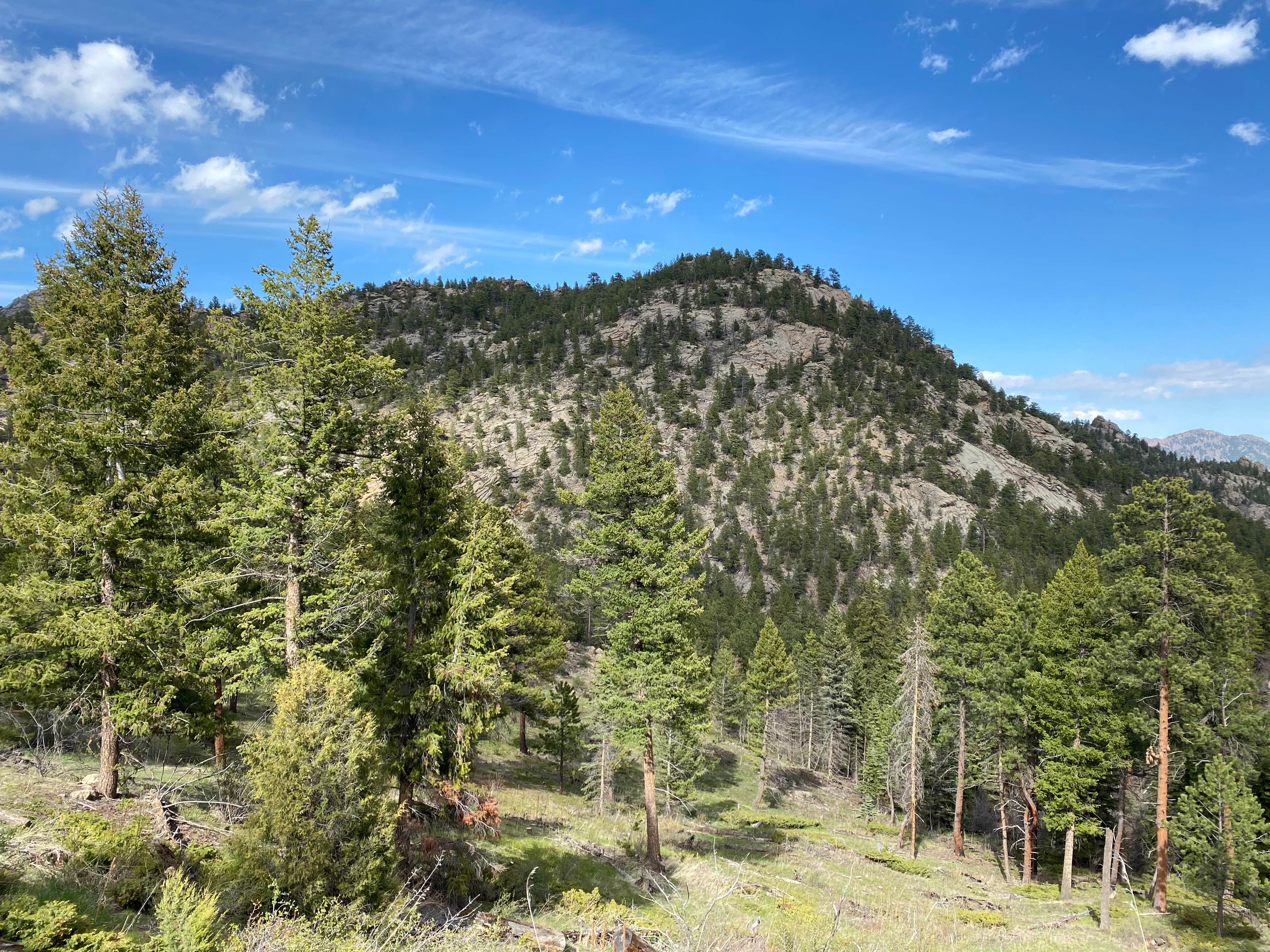 Camper-submitted photo at Winiger Ridge at Gross Reservoir near Arvada, CO