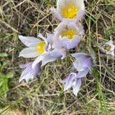 Review photo of Winiger Ridge at Gross Reservoir by Fabio O., May 18, 2020