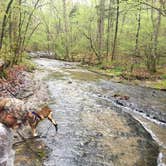 Review photo of Meriwether Lewis Campground by Ashley R., May 19, 2020