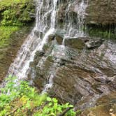 Review photo of Meriwether Lewis Campground by Ashley R., May 19, 2020