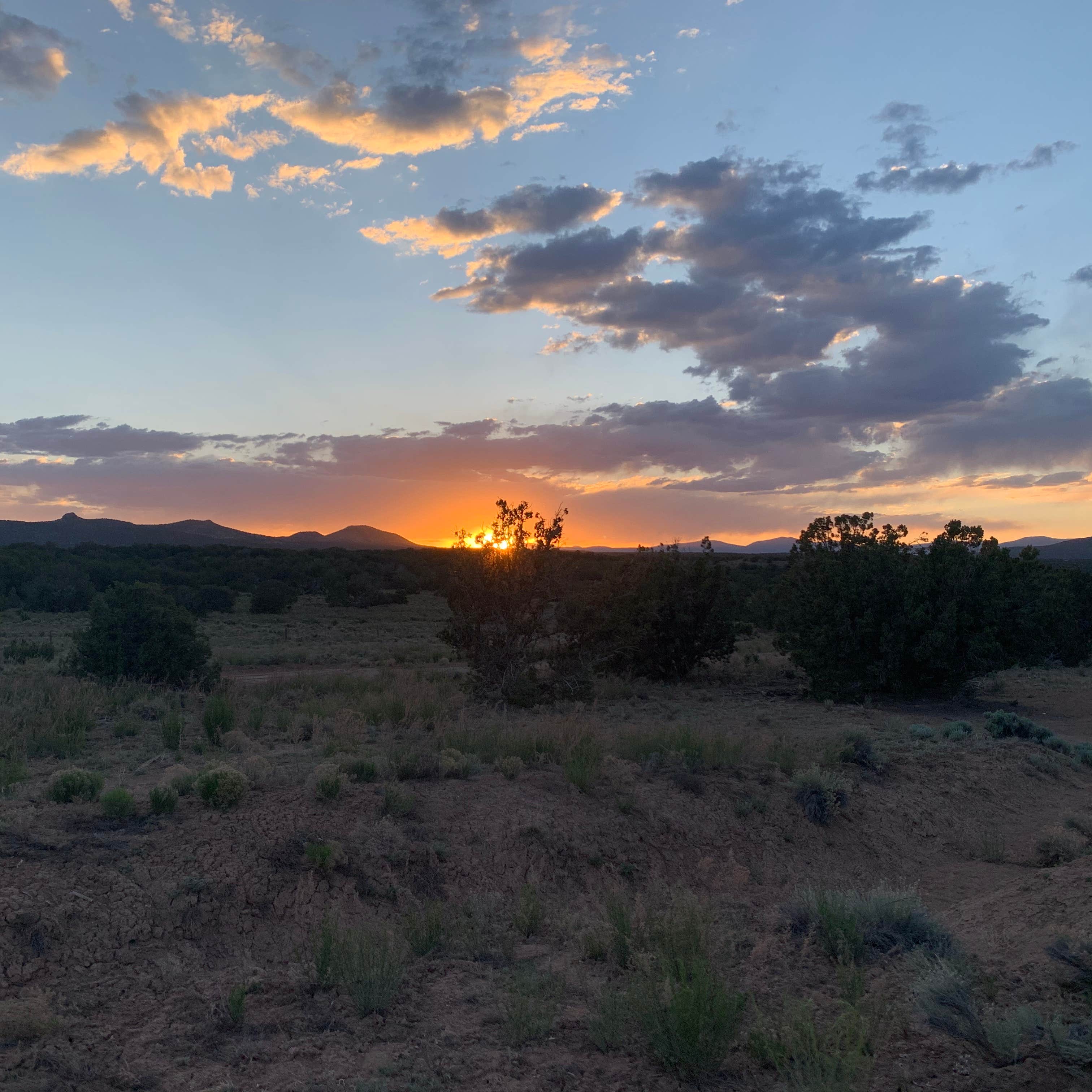 Mitch B.'s photo of a dispersed camping area at Santa Fe BLM Dispersed Campsite near Rincon, NM
