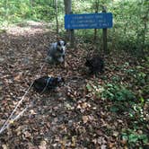 Review photo of Blue Licks Battlefield State Resort Park by Shelly S., September 28, 2017