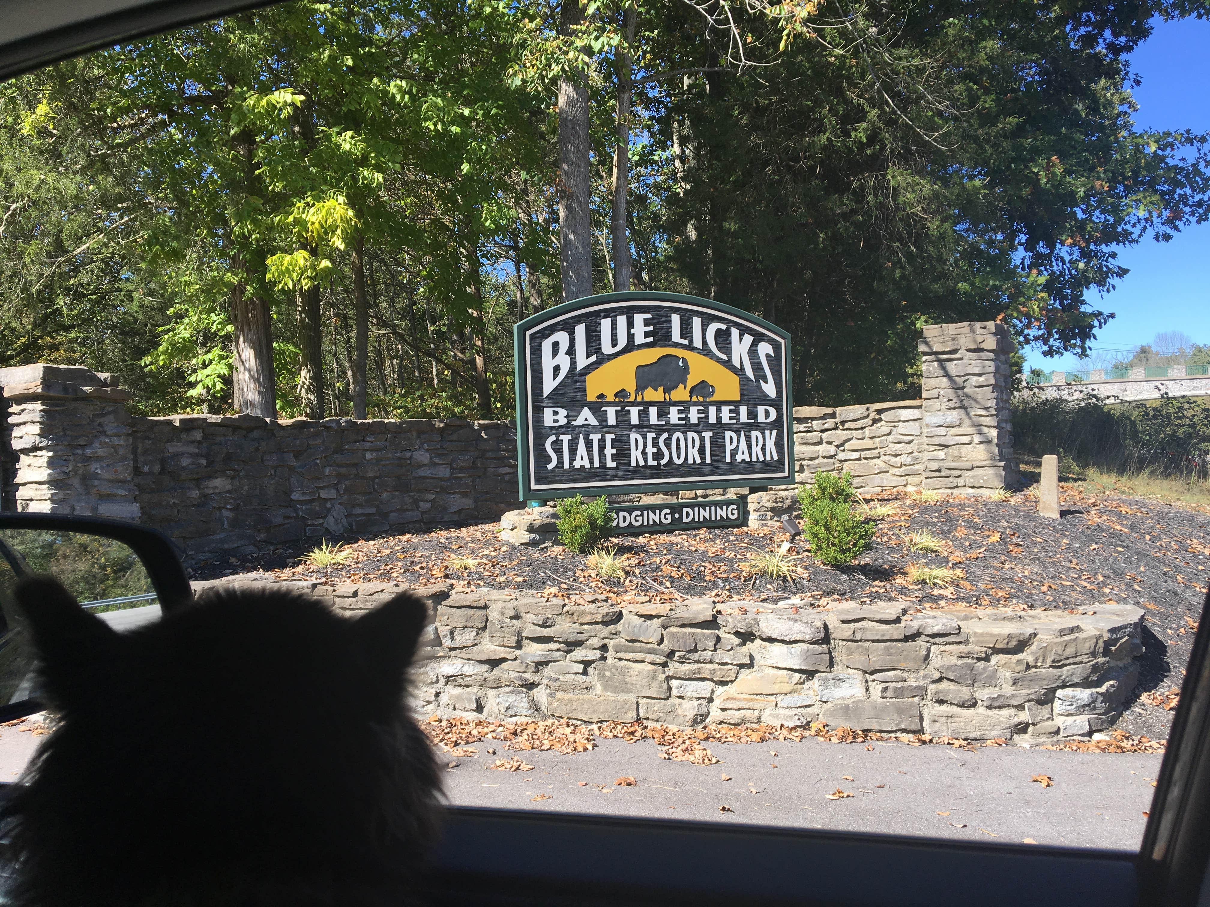 Shelly S.'s photo of camping with pets at Blue Licks Battlefield State Resort Park near Manchester, OH