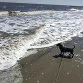 Review photo of Port Aransas Permit Beach by Shelly S., September 29, 2017