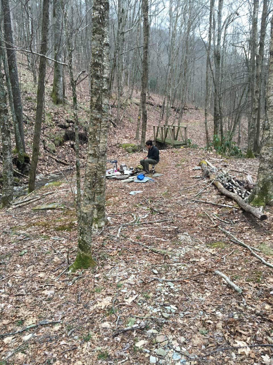 Camper submitted image from Bartram Trail Backcountry - 2