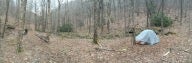 Camper submitted image from Bartram Trail Backcountry - 1