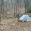 Review photo of Bartram Trail Backcountry by Asher K., September 29, 2017
