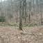 Bartram Trail Backcountry
