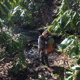 Review photo of Bartram Trail Backcountry by Asher K., September 29, 2017