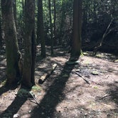 Review photo of Hickory Creek Trail Backcountry Campground by Asher K., September 29, 2017