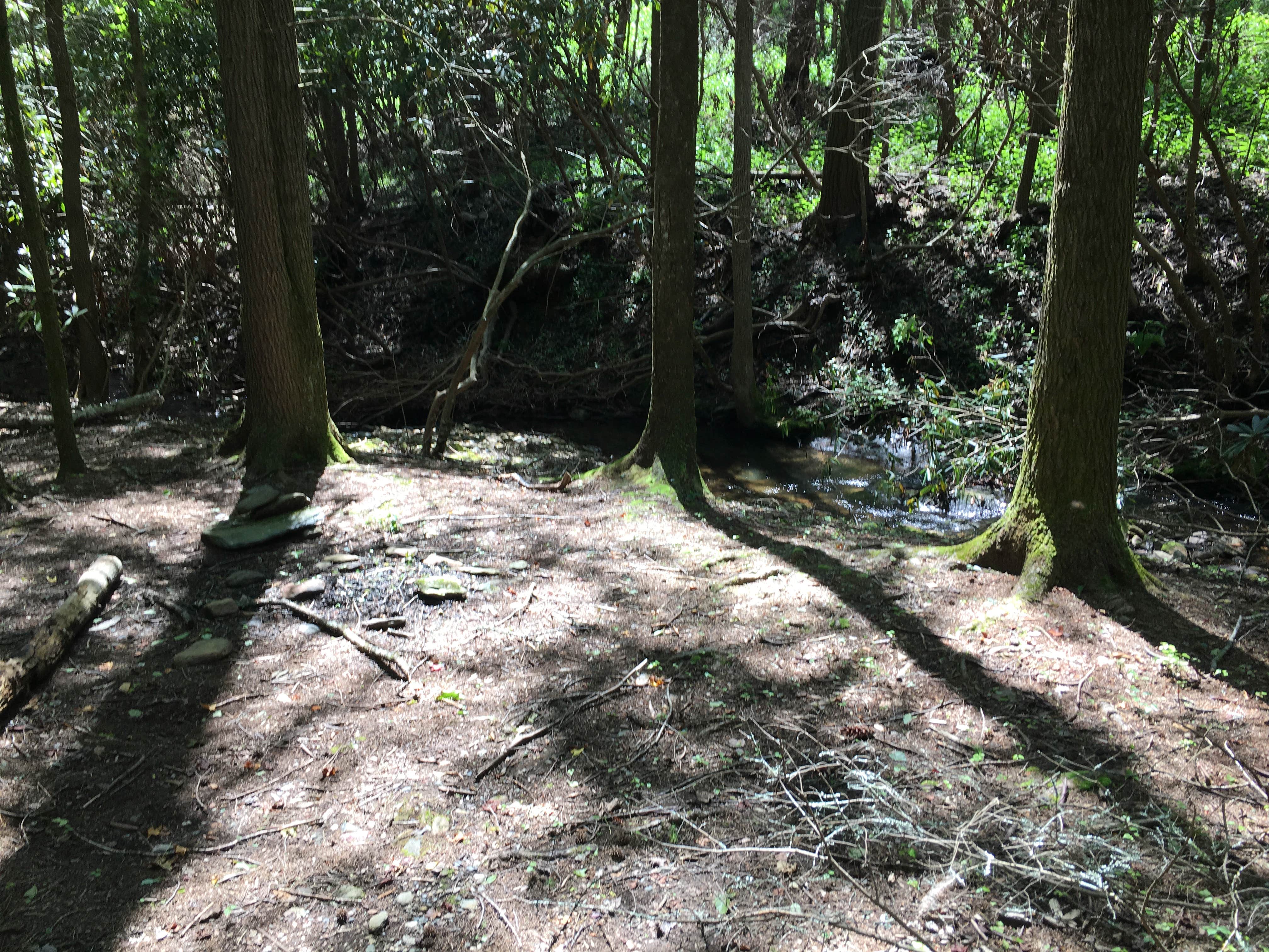 Camper-submitted photo at Hickory Creek Trail Backcountry Campground near Eton, GA