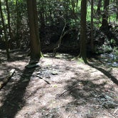 Review photo of Hickory Creek Trail Backcountry Campground by Asher K., September 29, 2017