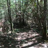 Review photo of Hickory Creek Trail Backcountry Campground by Asher K., September 29, 2017