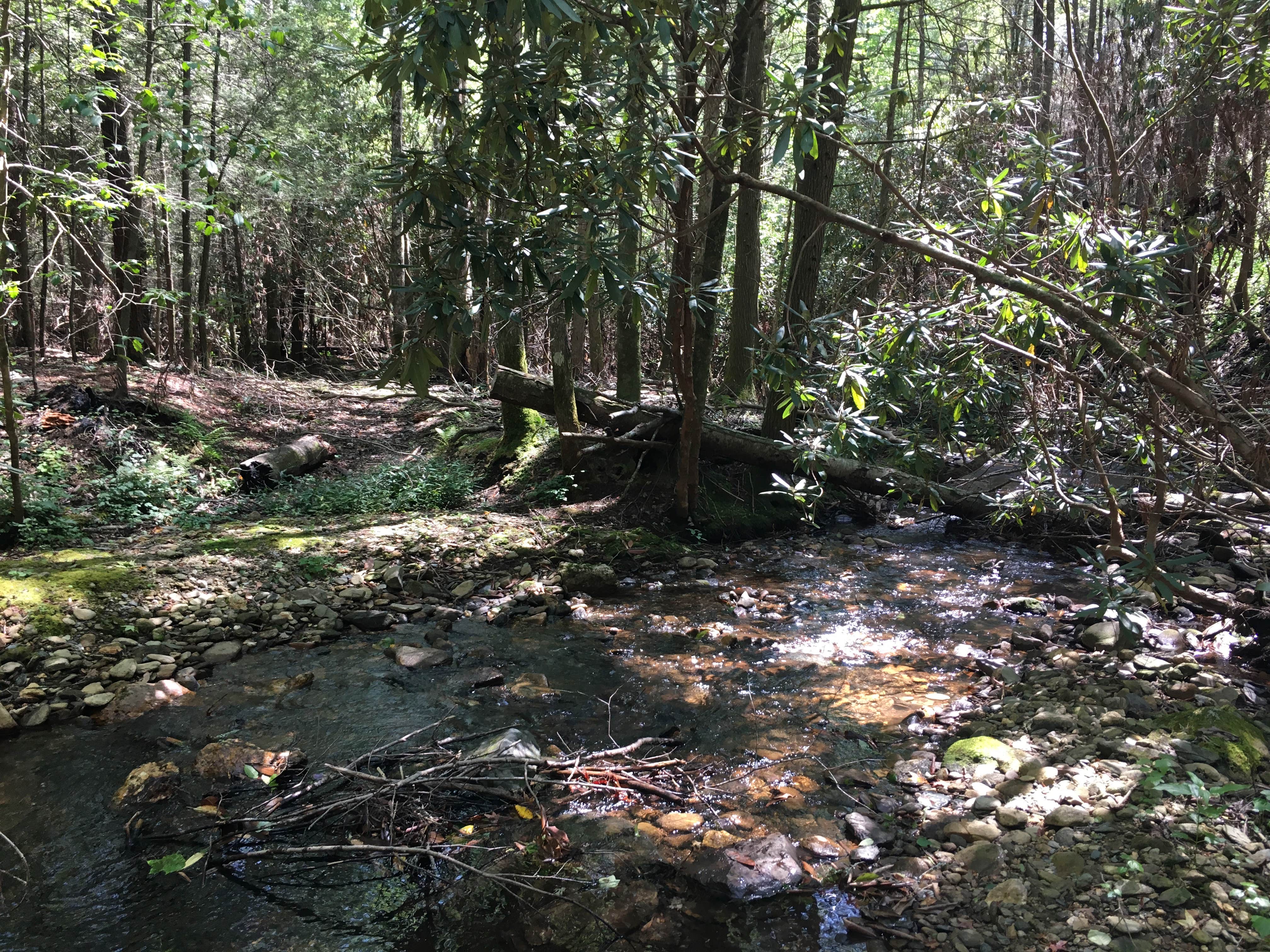 Camper-submitted photo at Hickory Creek Trail Backcountry Campground near Eton, GA
